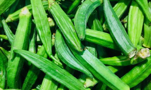 防止瞌睡的食物网- 防止瞌睡的食物和水果知识,分享防止瞌睡的小妙招
